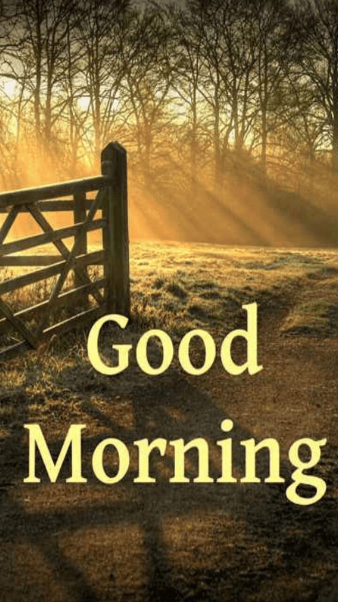 RoadBrook's tweet photo. #VemComTopSDV
#DomingoDeTremuraSDV
#OsTops🔝
@Vanlorem
@RoaMarta2
@HiilBrook
@_Fiel_Seguidor
@JuanSGE
@_dicastutoriais
@Drica3506
@pitty_black
@zeno_melo
@Anjo_sdv
@ednadesenzi
@AdayltonFreitas
@eubrendinham
@dellestefany
@LUIZROLEZERO5
@NanyPessoa2
@MitShizuya
@h_bezerra https://t.co/OMx1lKaaGq