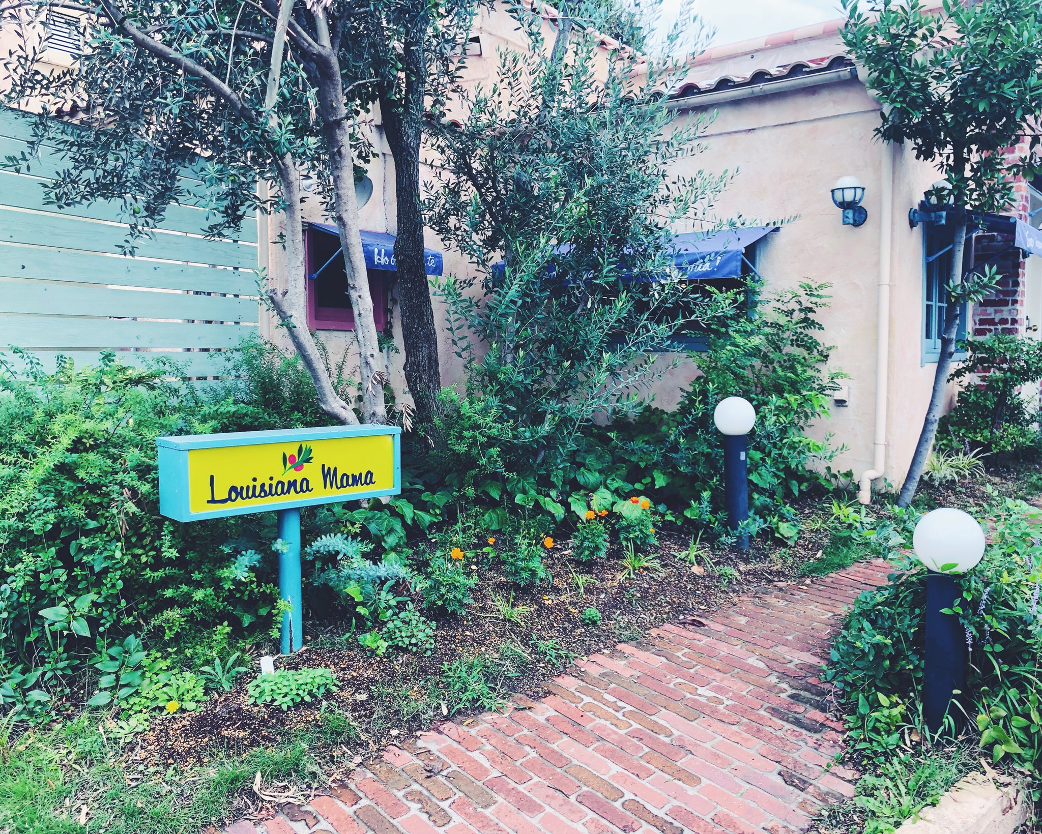 Seri Hano On Twitter ランチにルイジアナママ京都八幡店へ アンティパストのビュッフェが人気のイタリアンレストラン パスタはどれも安定の美味しさ 11月まで全てのランチビュッフェつきメニューにドルチェビュッフェもついてきてビックリ 久々に行って