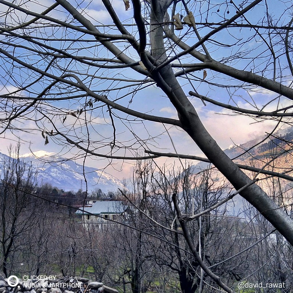 nubia_India's tweet photo. The best view comes after the hardest climb. #Regram @david__rawat #ClickedBynubia using Z17 mini. #nubiaIndia #Photography https://t.co/XVSJyh92S1