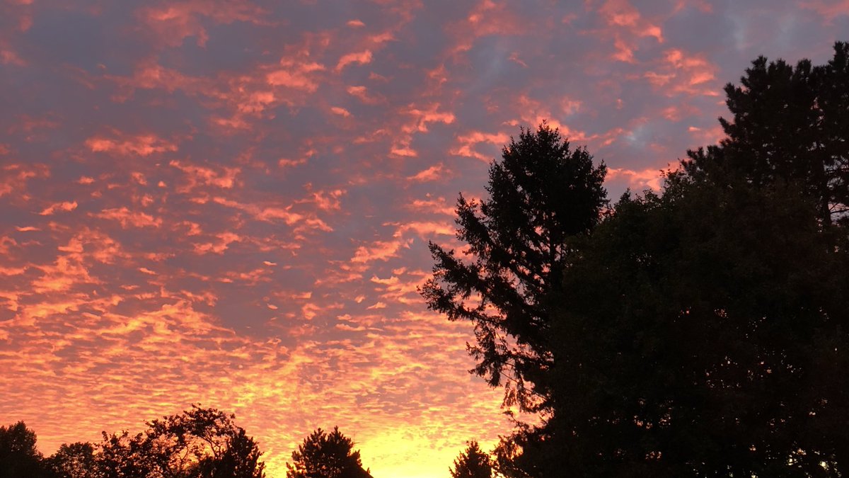 What a glorious morning in Hamburg 🌞 #sunrise #sonnenaufgang #hamburg