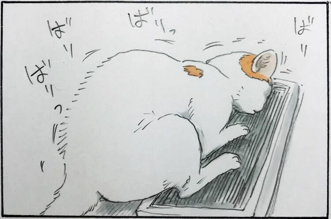 『見てたの⁉︎』 