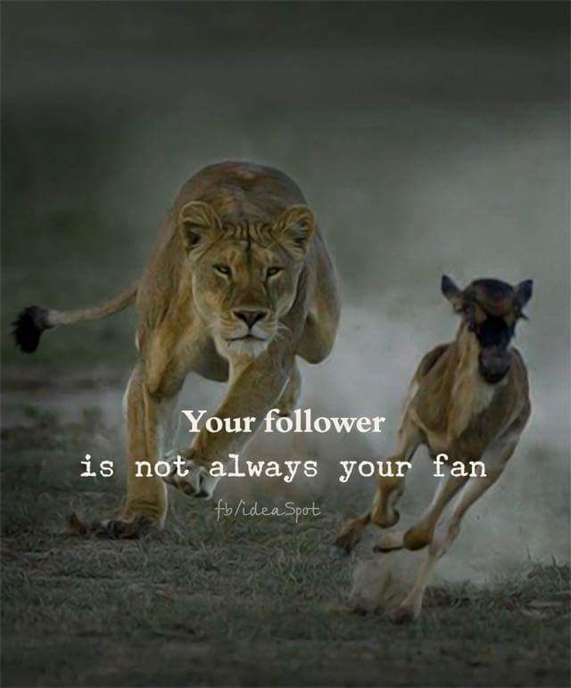 micsloveswine's tweet photo. Especially true for social media! https://t.co/HGonGCi0k9