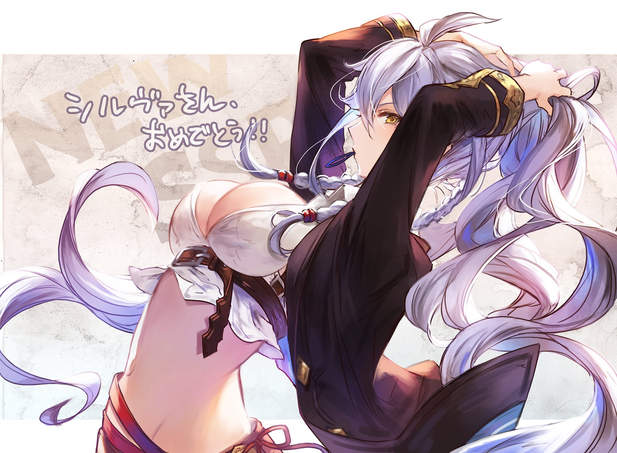 グランブルーファンタジー 在 Twitter 上 グランブルーファンタジー 9 30 12 00よりレジェンドフェス開催中 新キャラクターシルヴァ 光属性 の登場を記念して イラストチームから髪を結い上げたシルヴァのイラストが届きました ほかにも新キャラクターとして