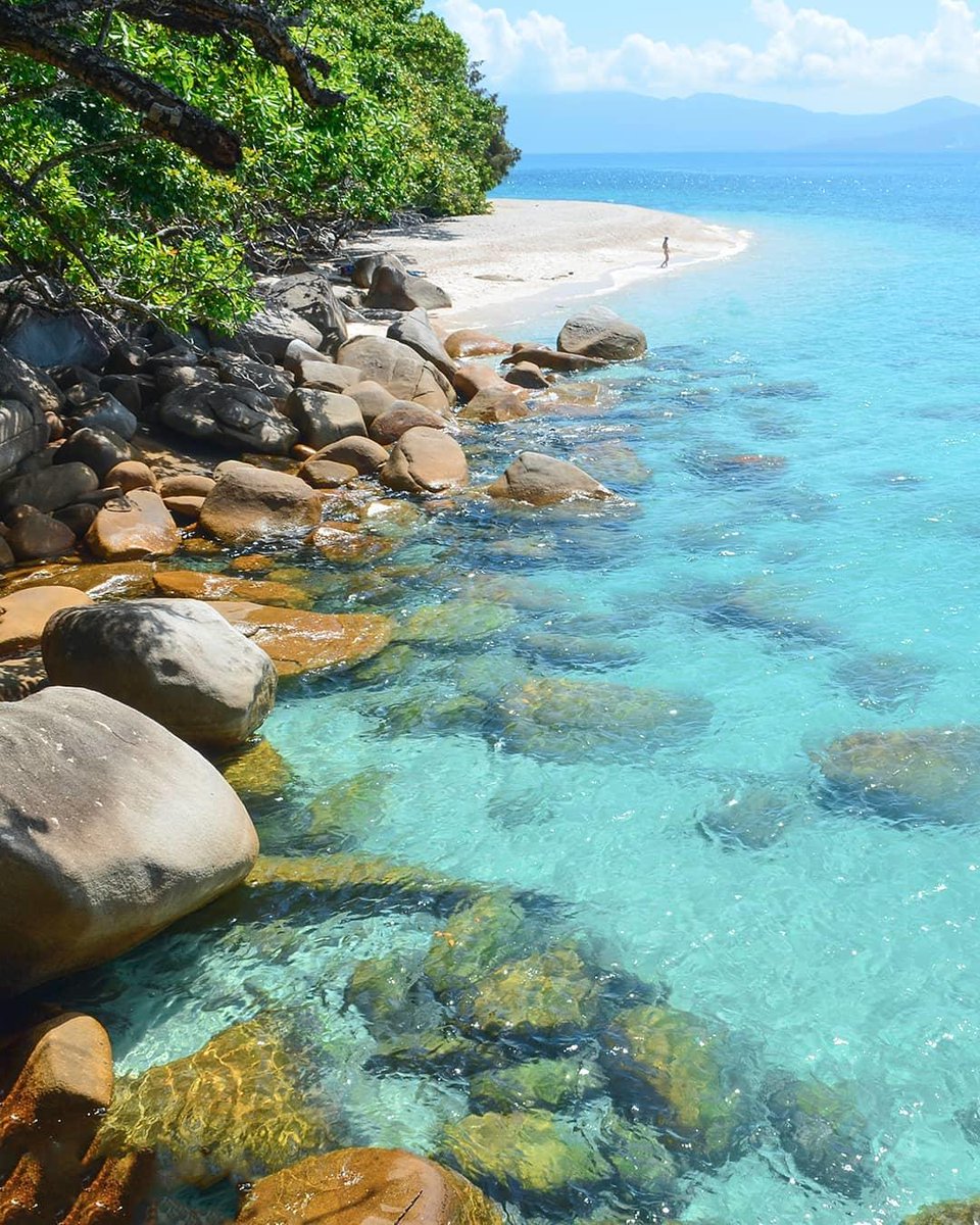 Australia's tweet photo. Water clarity level: CLEARLY very high! 💦 

(via IG/conormoorephotography on @FitzroyIsland's #NudeyBeach) #seeaustralia https://t.co/okB8X9vInJ