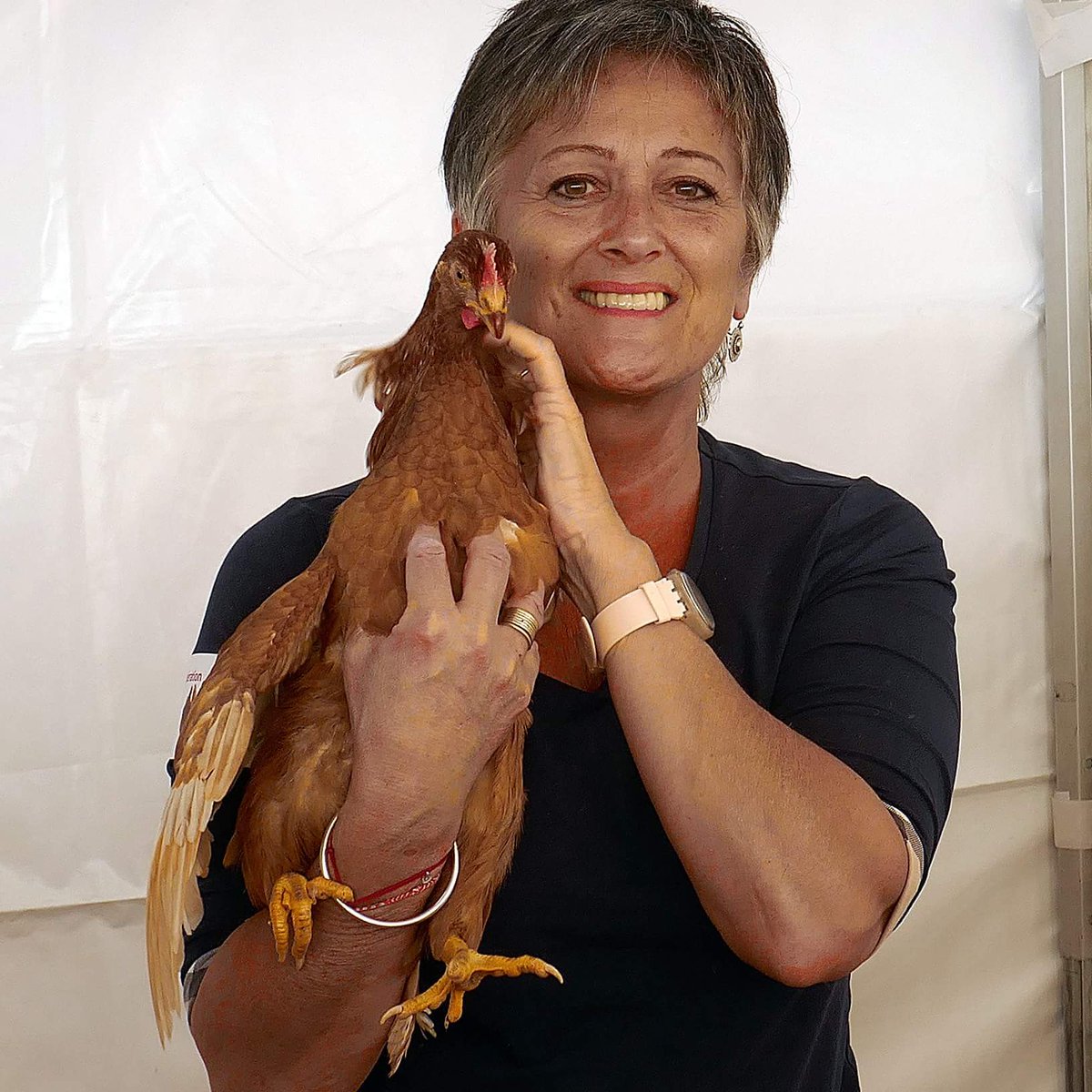grand succès pour l opération "je veux des poules" sur m2A