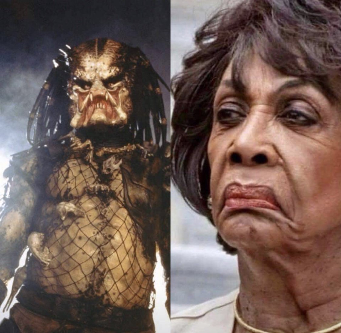 mojo_rizn's tweet photo. @BitCUDA @RepMaxineWaters #MadMaxineWaters
#PoliticalPredator
#ResignNow https://t.co/fJPZtY0Ckj