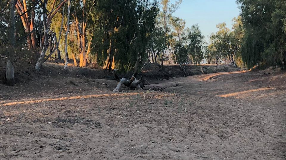 overthelies2010's tweet photo. The #Suttor River in Qld. The River the greenies think that #Adani will pump dry! In fact, Adani will only take water from this River when it is in flood, &amp; only after #farmers have take theirs first! #factsmatter #auspol #qldpol #ausmedia #coal #jobs4qld #waterislife https://t.co/00a8UEX7tT