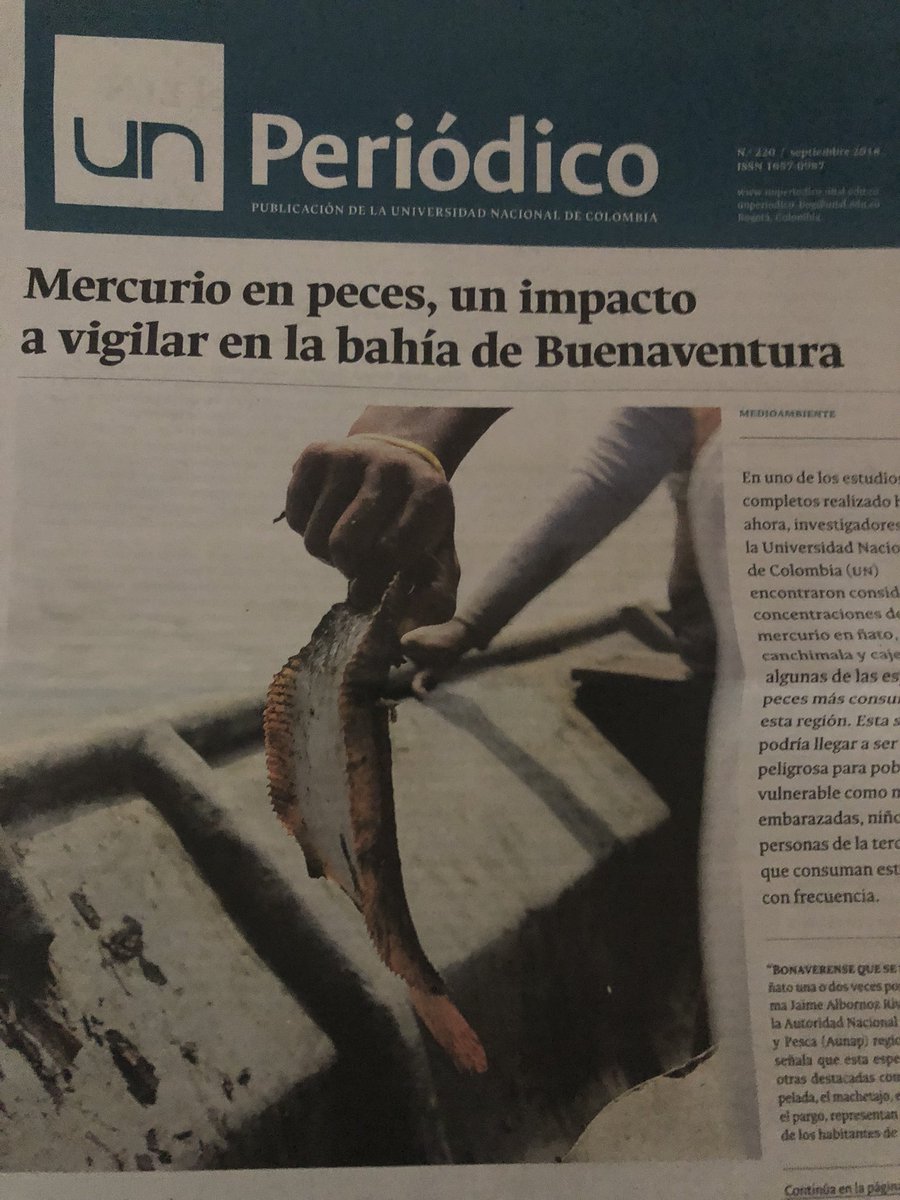 Carlos Edo Guevara tweet media