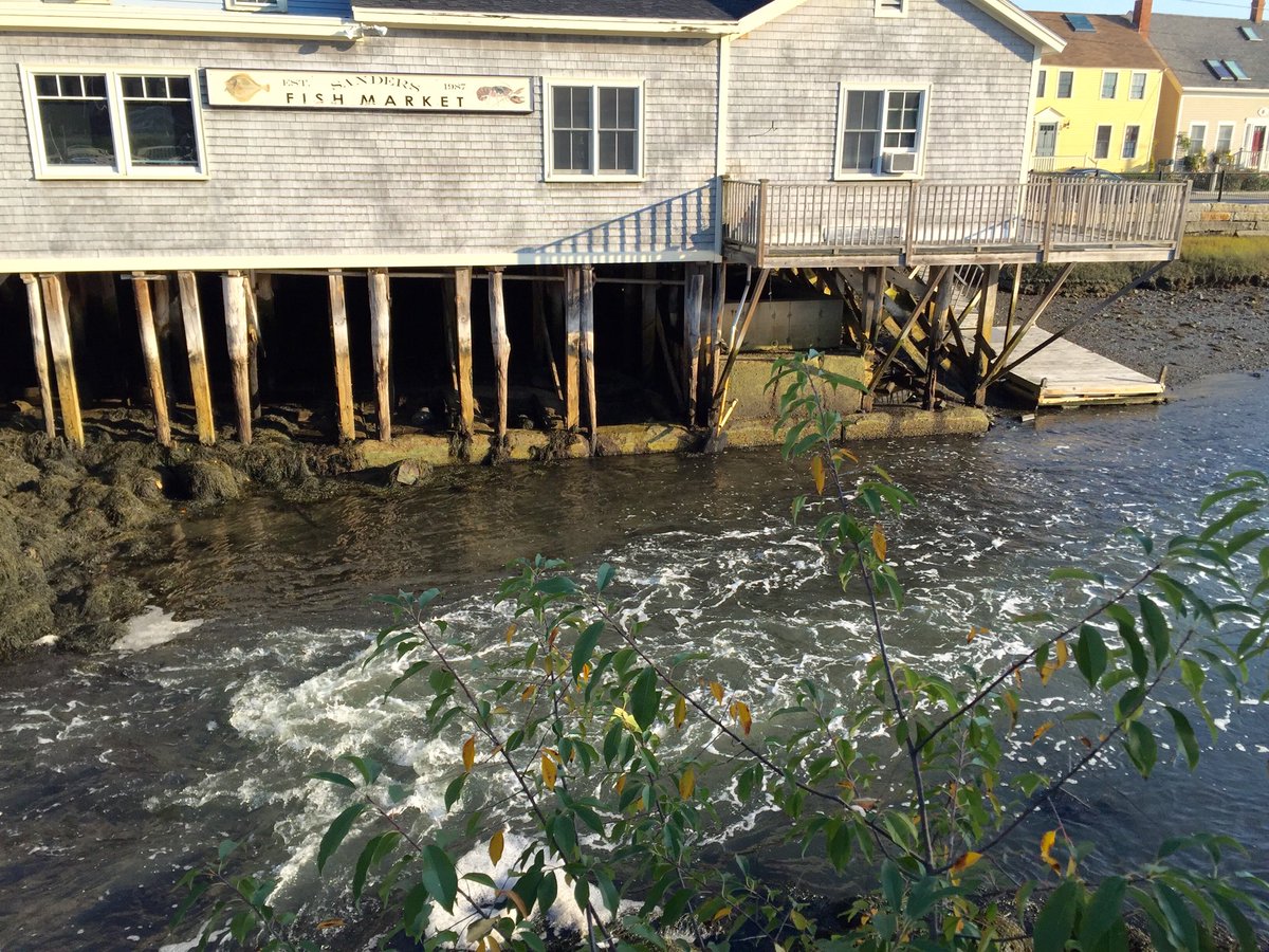 DinanElizabeth's tweet image. Morning @SandersFish @seacoastonline
