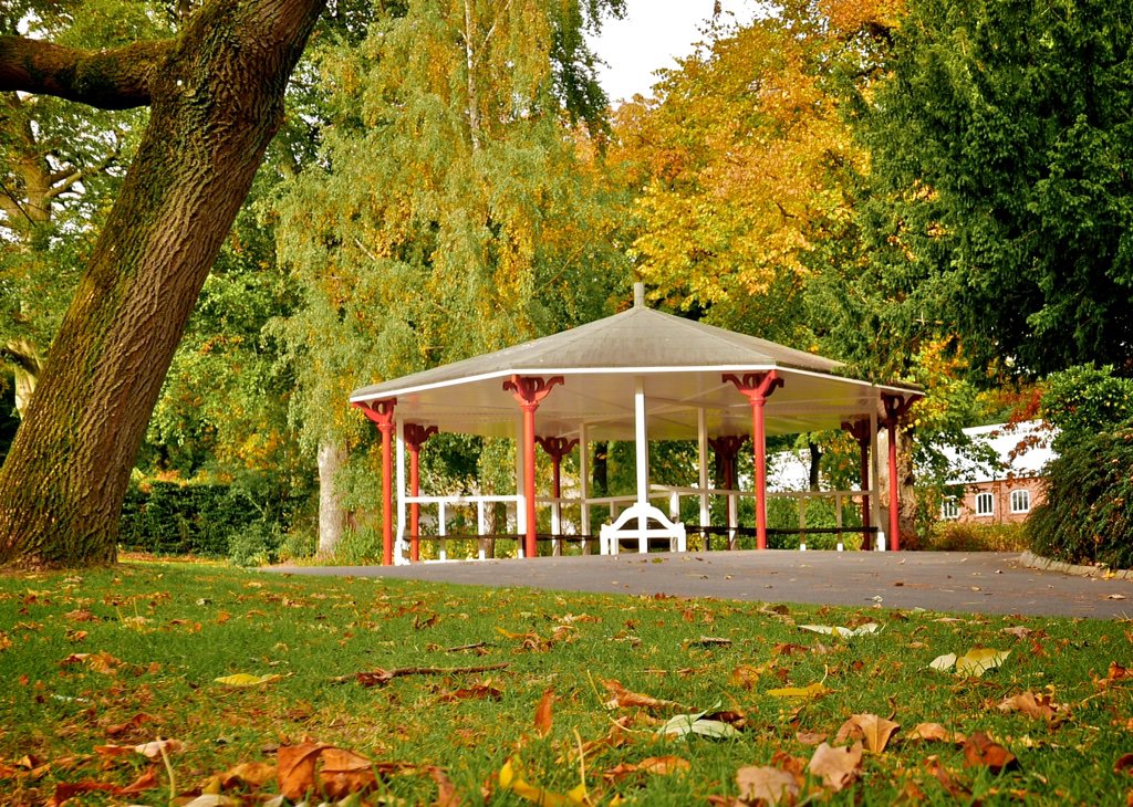 kgray_g's tweet photo. Autumn vibes in Botanic Gardens today @newslineweather @angie_weather @WeatherCee @geoff_maskell @barrabest https://t.co/2ld1v2WneM