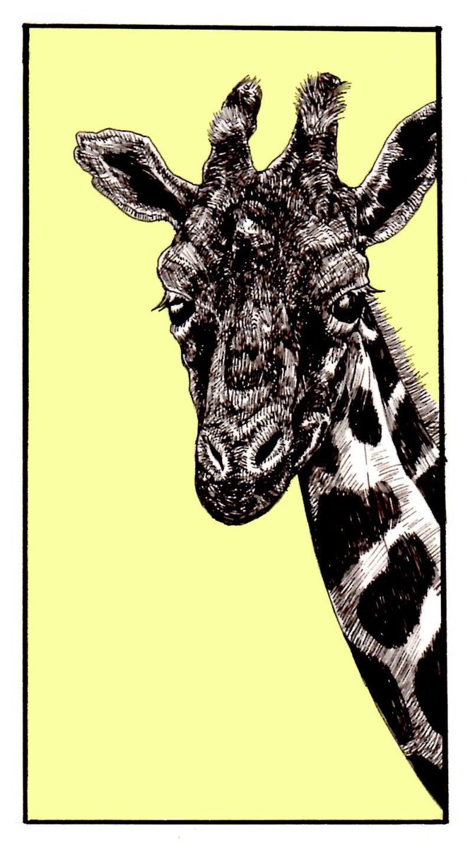 まこ イラスト 完成したのを彼氏に見てもらったのだけど まゆちゃん可愛い絵を描くんだね 思ってたのと違った って言われたのは今までリアルに描いた動物の絵しか見せてこなかったから