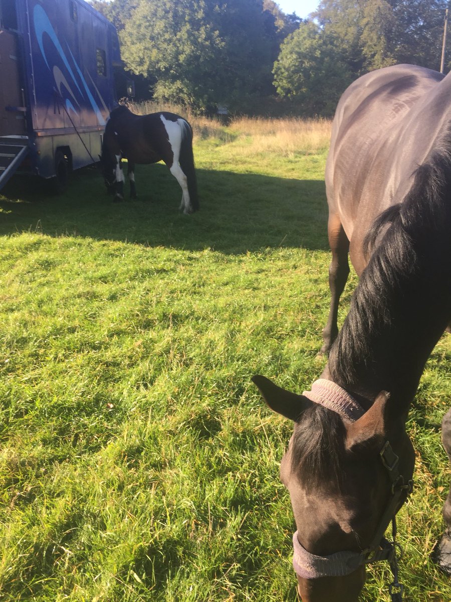 KempKatherine's tweet photo. What sundays are all about! Now a little snooze.... https://t.co/1uOSycVjaQ