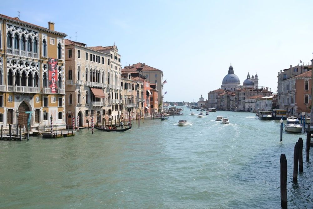 CruisingKidsUK's tweet photo. If Venice is part of your cruise itinerary then you'll want a look at this port guide. We cover excursions, self guided tours, riding the vaporetto and those new rules about respecting the city! https://t.co/fer98zqVHY #VisitVenice #cruisetips #portguide https://t.co/Xn0ZATMjgi