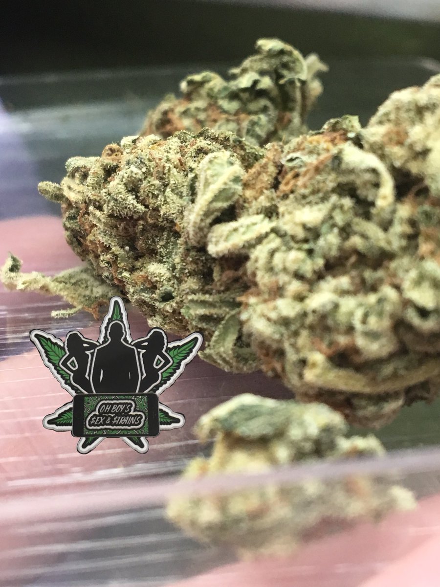 Chri27ina420's tweet photo. Happy SunDAZE Everyone💨💨💨Been busy busy over this way💚💨💨💨As all is well💯💨💨💨Hope everyone enjoys their day to the absolute fullest👌💨💚💨🍁I know I will especially with this amazing beauty #HippieCrippler 😜💨💨💨 #SunDAZE #FunDAZE #IAmCannabis https://t.co/yh4oSipcbR