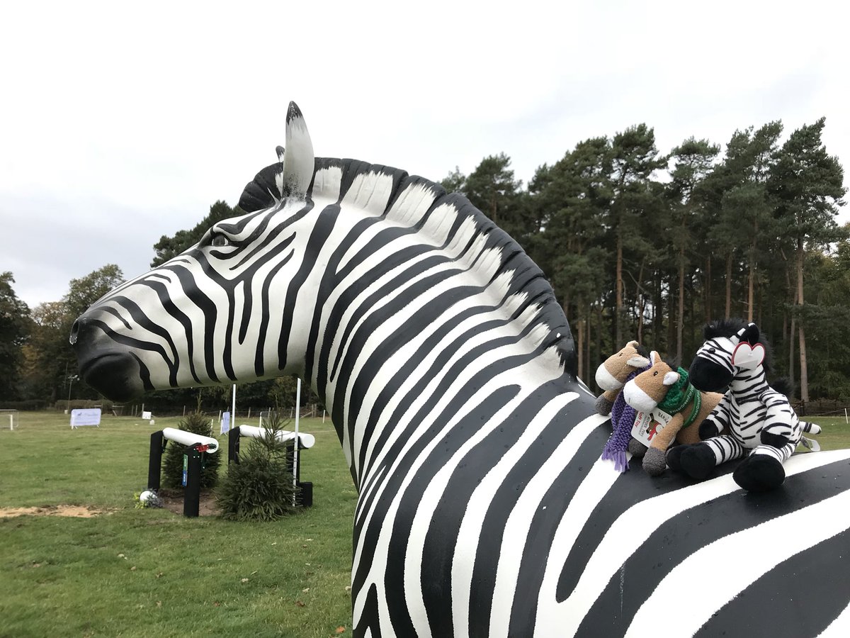JustMsHannah's tweet photo. Fabulous morning at @bedeevents Osberton Horse Trials at the @investecam_uk @Investec Oxer combination
#FJLife #LoveWhatYouDo https://t.co/F5TRSVZQNS