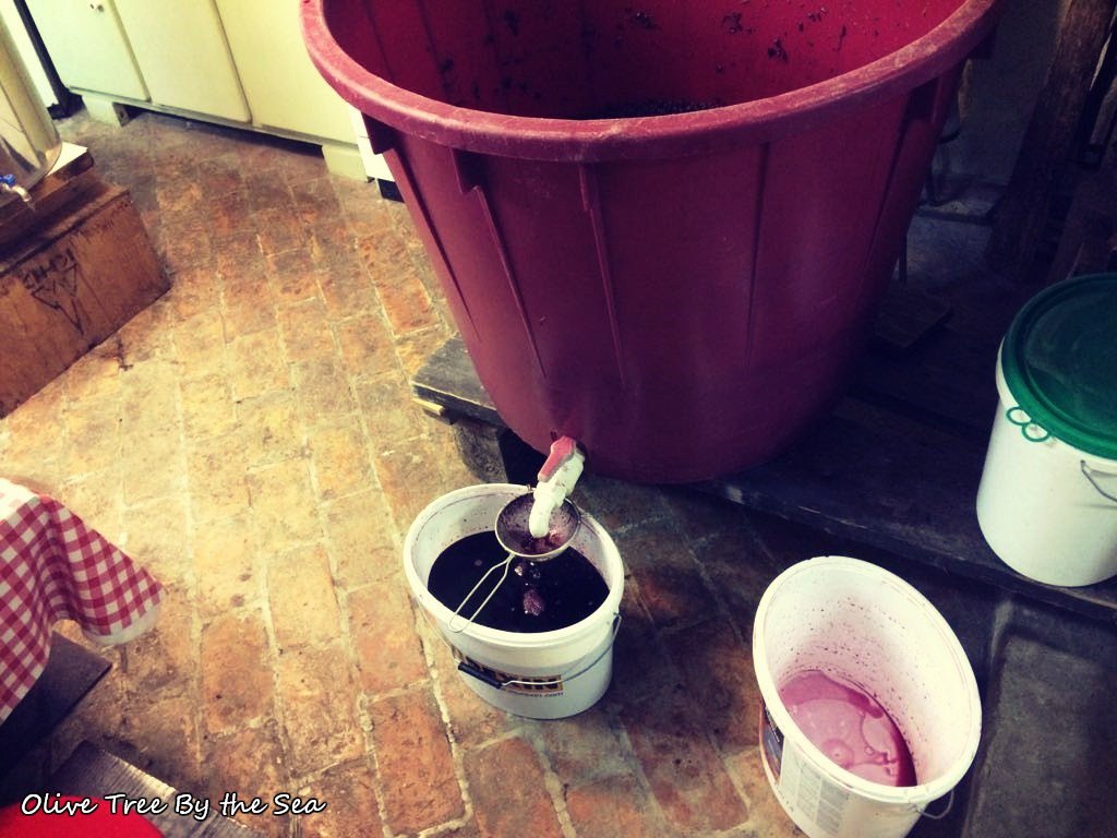 Homemade Wine: Fermentation olivetreebythesea.com/2018/09/30/hom…