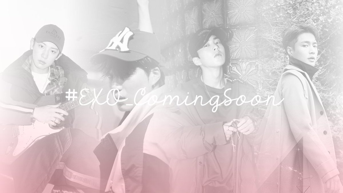 HIATUS | EXO SCHEDULE tweet media