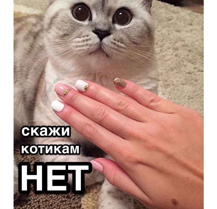 ressium's tweet photo. инстаграмы маникюрных салонов — это на самом деле социальная реклама. https://t.co/aX3zV4CTsU
