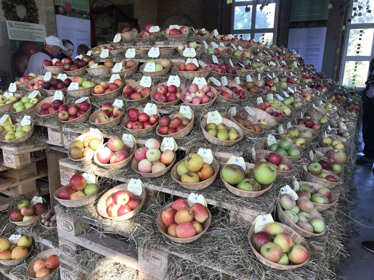 FDebersaques's tweet photo. Nationale Pomologische
fruittentoonstelling in Hof ter Saksen in Beveren. Indrukwekkende tentoonstelling van meer dan 500 appel- en
perenrassen. Interessante plaats om mijn cursus Fruitteelt met info en beeld aan te vullen! https://t.co/tMay3rDfB5