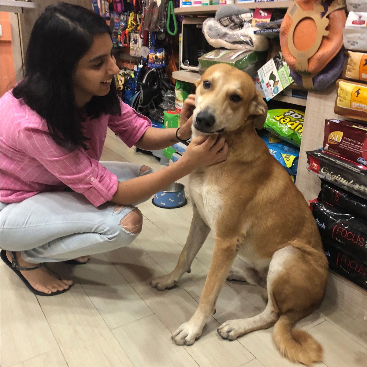 Happy sunday with Silly 🐶
.
#redpawsdelhi