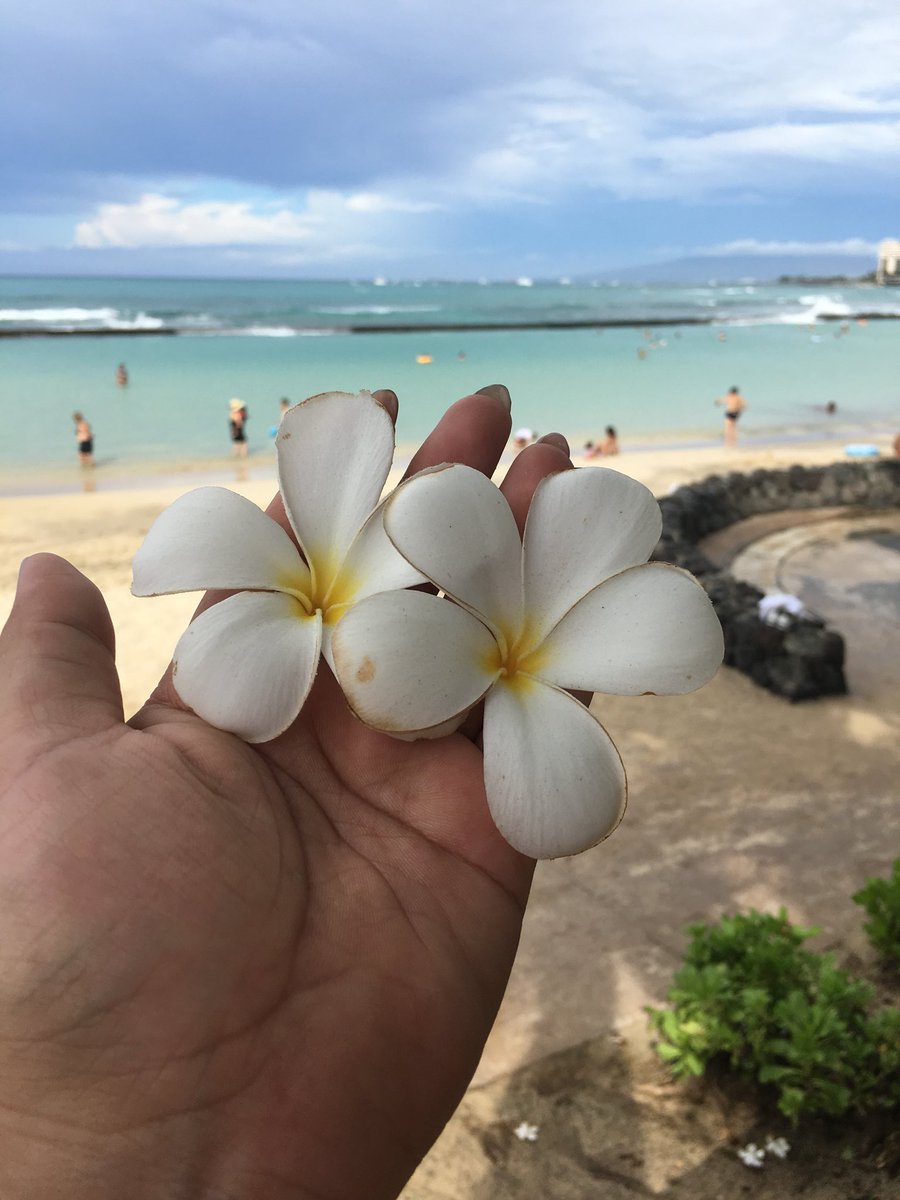 in_jjack's tweet photo. 仮想通貨で稼いで行ってきましたよーー♪
一緒に稼いでハワイに行きませんかー？
https://t.co/XzMa2lw4i6
 #稼げる #仮想通貨 #副業 #ビットコイン #ものすごいパワー #ブロックチェーン #本物の虹が見れた https://t.co/qc0b7VHtPg