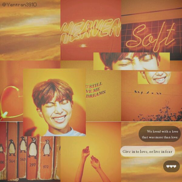 Yentran3910's tweet photo. My sunshine ❤☀🌸
Moodboard by me ; don't cop :3
#Dinn
#aesthetics #moodboad https://t.co/7j9CZE3mpE