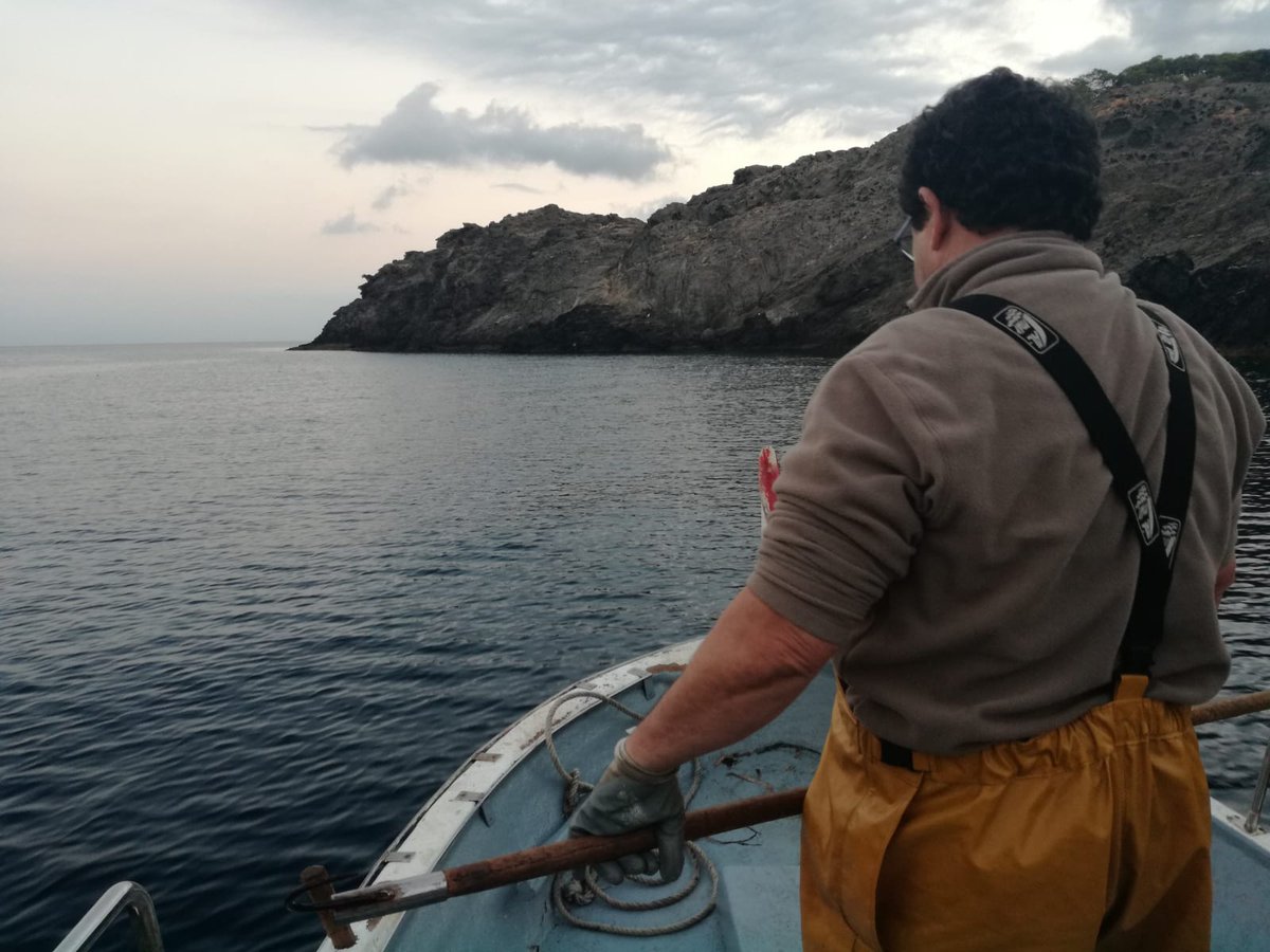 miticap2020's tweet photo. ¡Y con esta última de hoy, acabamos las pescas experimentales en Port de la Selva!  @ICMCSIC @gambacapdecreus @FBiodiversidad @mapagob @CSICCat https://t.co/KSZrZBH9qp