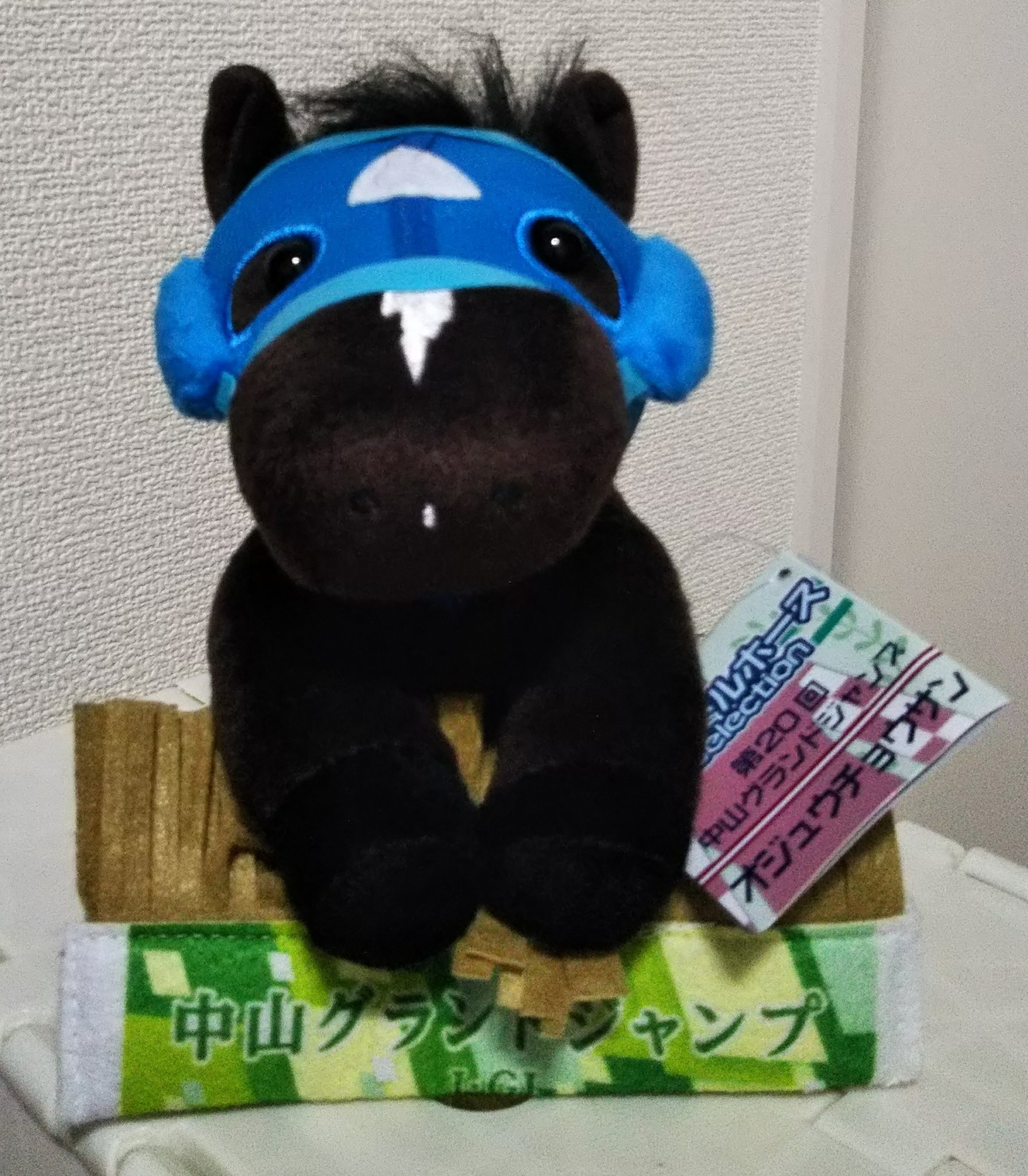 Vega Na Twitteru アイドルホースぬいぐるみゲット オジュウチョウサンは障害レースの王者です Jraポスターはいつもキャッチコピーがすばらしい 超えていく 王者 オジュウチョウサン 超えていく王者 Jra T Co Sydbv4n664 Twitter