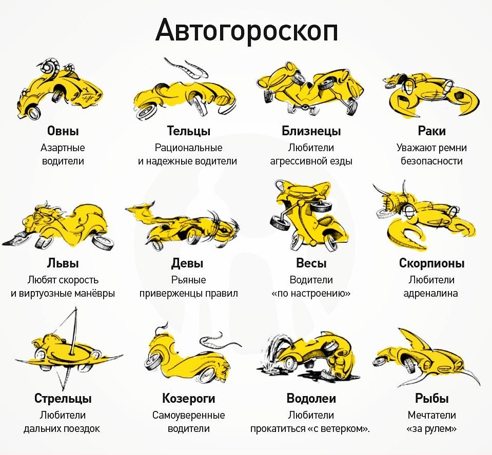 Pilot_Auto's tweet image. Узнали себя?)