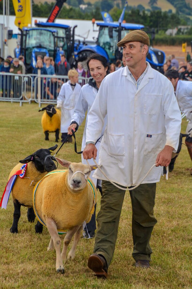 middevonshow's tweet photo. Did you manage to catch the sheep competition this year? Our biggest number of entrants made a great spectacle
#sheep #sheepshow #middevonshow #middevonshow2018 #knightshayes #nationaltrust #tiverton #cullompton #crediton #middevon #devon picture thanks to @lewis_clarke88 https://t.co/PkkwByMeCP