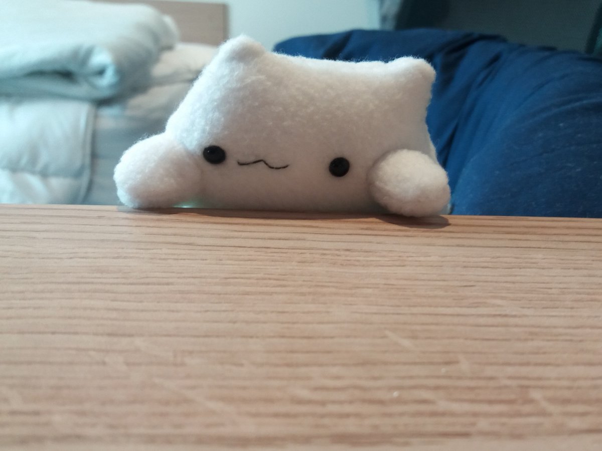 bongo cat plush