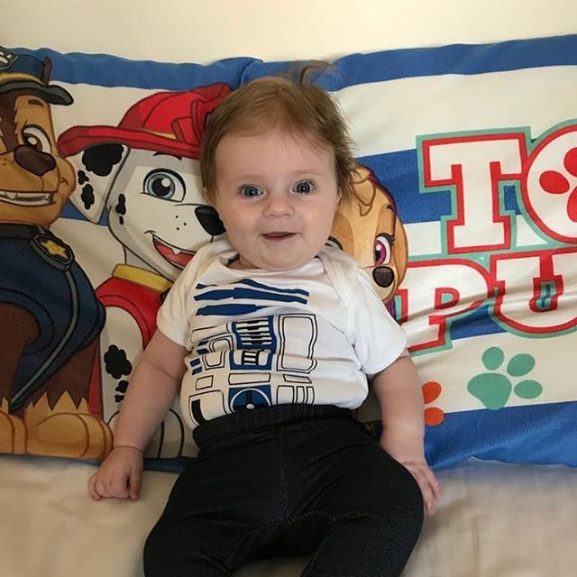 adamstoms's tweet photo. Good Morning #r2d2 #tweet #photography #photographer #phonephotography #hellomoto #MyMotoPhoto #motorolag6plus #motorola #android #starwars #astrodroid #astromech #cute #artoo #artoodeetoo #beepboop https://t.co/u7IGDBjTbU https://t.co/zVE39bsMn8