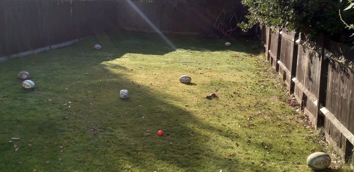 PhilBurkett's tweet photo. The neighbours threw back my son's rugby balls this morning... @EnglandRugby @ColfesRugby @KentRugby @GILBERT_RUGBY @Saracens @jkennard98 @lukeywalden https://t.co/kTxT7obMfP