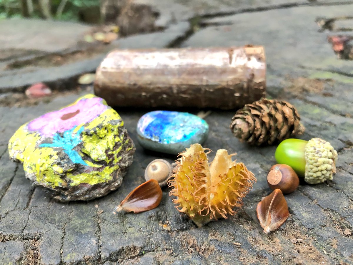 Visit your local Natural Health Service to recoup after a busy week. Parks and green spaces are vital in providing this respite. We’re exploring <a href="/GreenFlagAward/">GreenFlagAward</a> Darley Park this morning and look what we found. #SundayMotivation 🌳 🌻