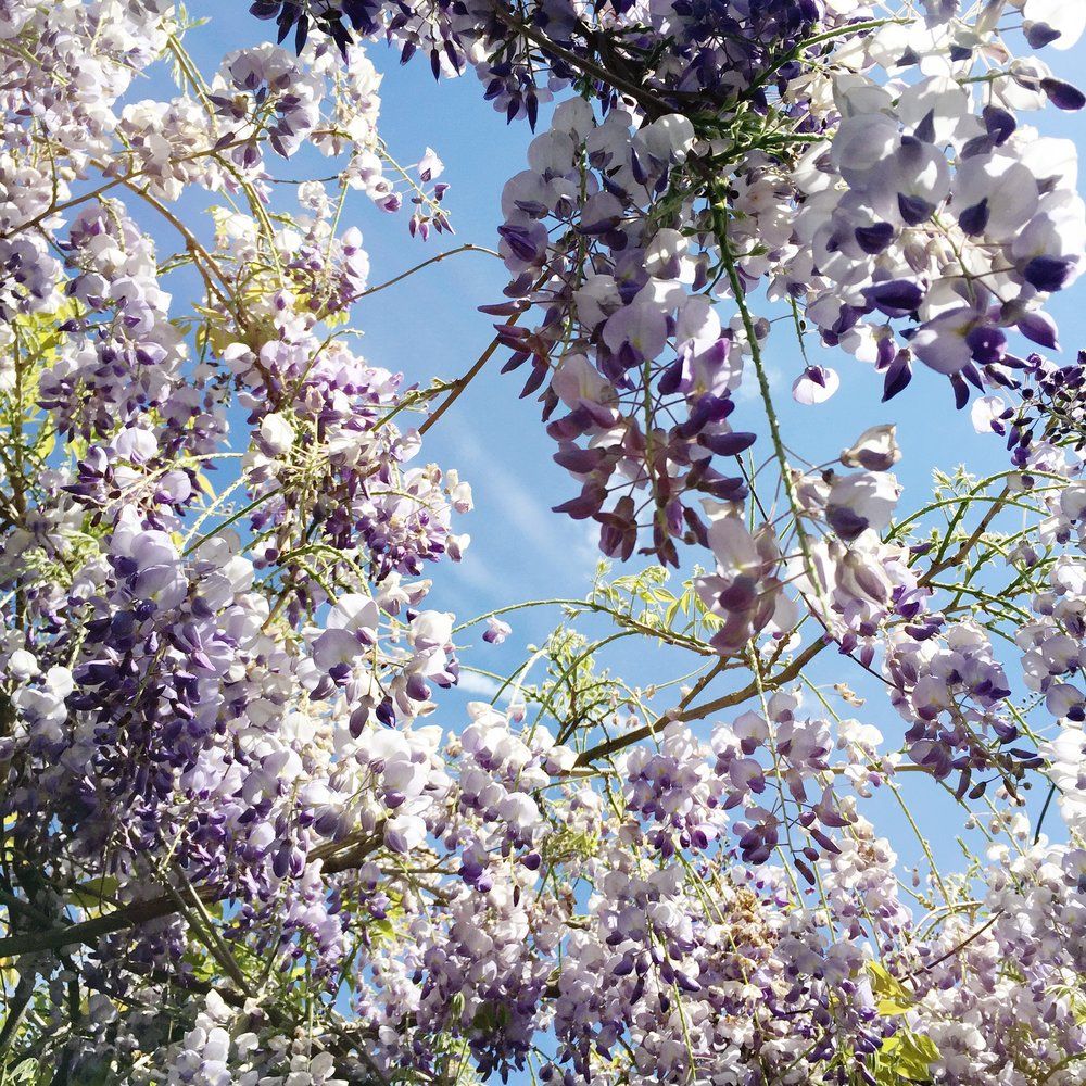 Curious as to how you can use Facebook to promote your business? In our recent social media tutorial series <a href="/emilyquinton/">emilyquinton</a> gave us some very useful advice... buff.ly/2MaK7Dq