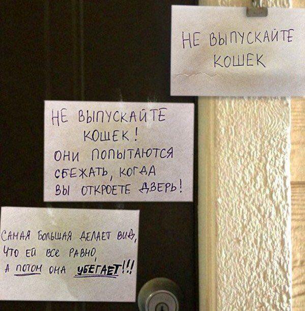 Barking News (@50pets) on Twitter photo 