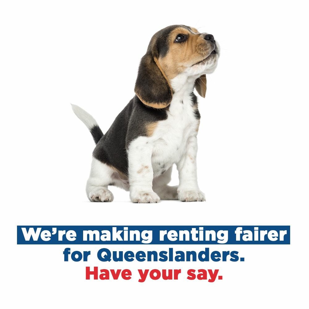 a_palaszczuk's tweet photo. More Qlders are renting.
It’s time we have a look at making renting fairer.
If you’ve struggled to find a 🏡that’s 🐶 friendly or wanted to hang photos on walls but couldn’t, we want feedback from you and landlords on what should be changed. #qldpol
https://t.co/zZVZP2ZO0S https://t.co/jZFlTyMBx6