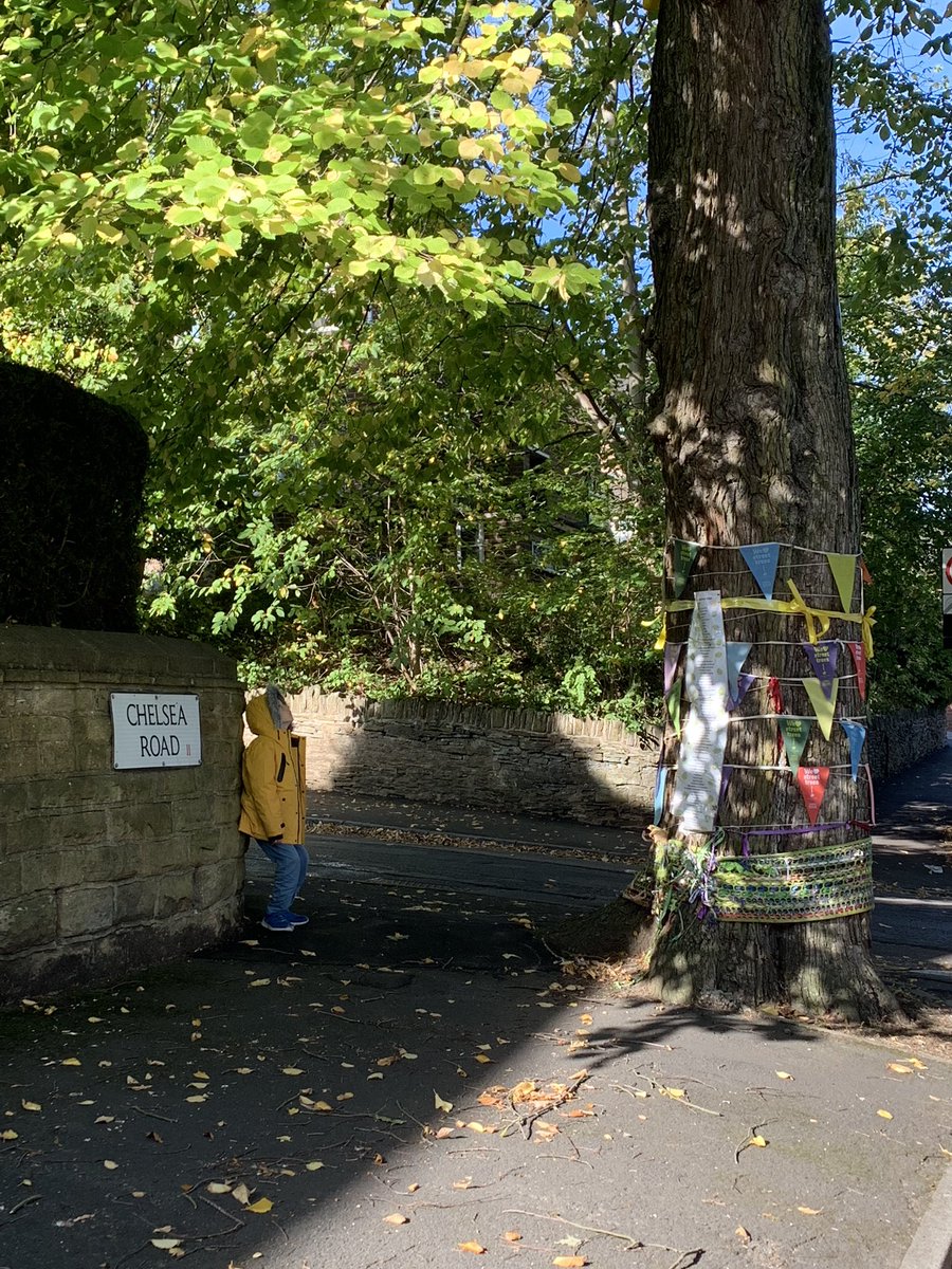 TiCLme's tweet photo. Yesterday I was privileged to see the Chelsea Road elm for myself
Much has been written, but I thought I’d add my twopence worth, particularly, as always, perception changes when you actually #seethetree @awarenesscomes
#SaveSheffTrees #SheffTreeFest https://t.co/75xvPRK4dZ