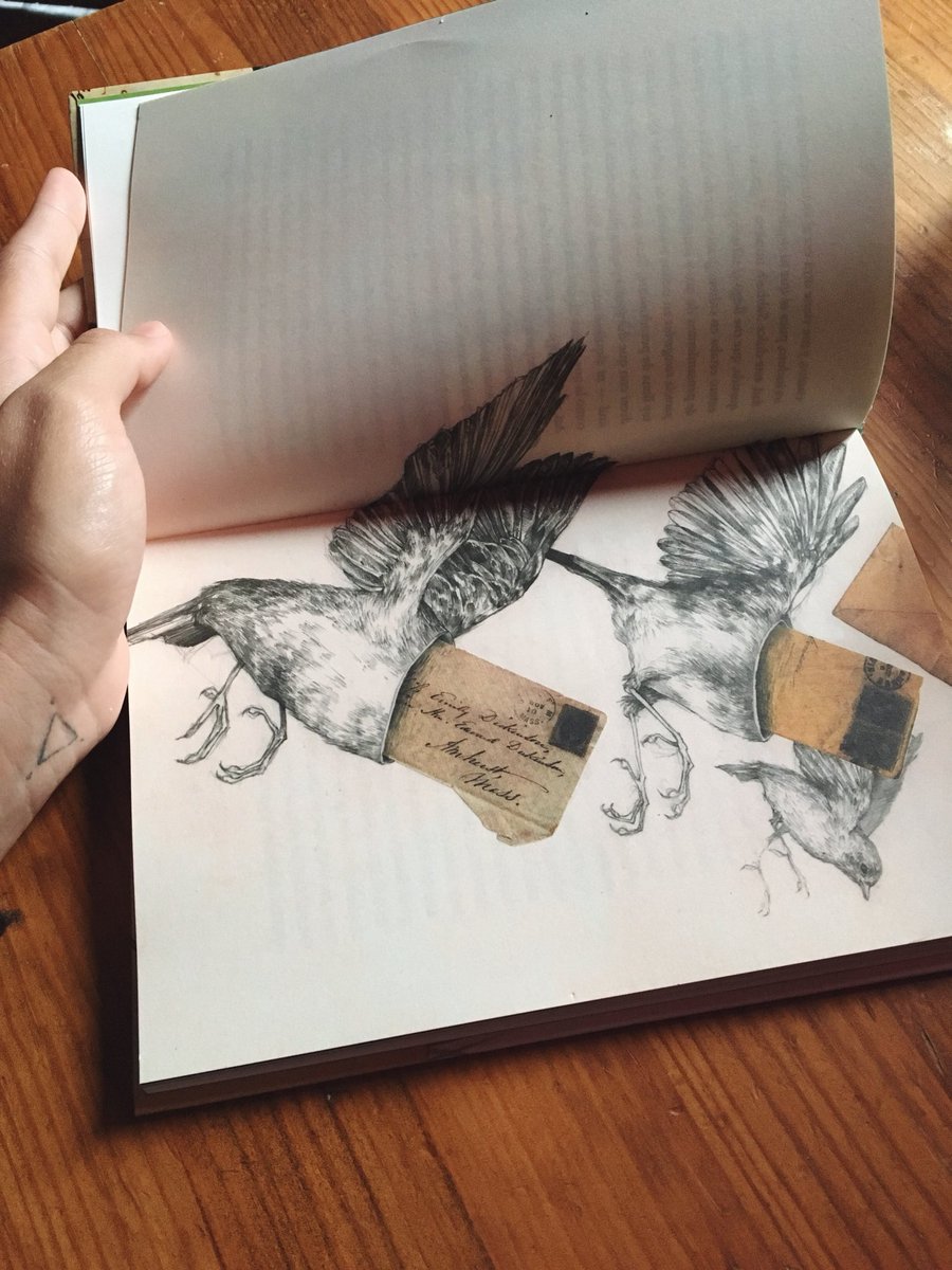 eliamervi's tweet photo. The Envelope poems, -small treasures, little points of light- digitized and published, scanned again, printed, cutted out, pasted, scanned for the third time and published again in a new way by @Nordica_Libros ...sorry Emily. #prefeririaseramada https://t.co/HN962ICoNB
