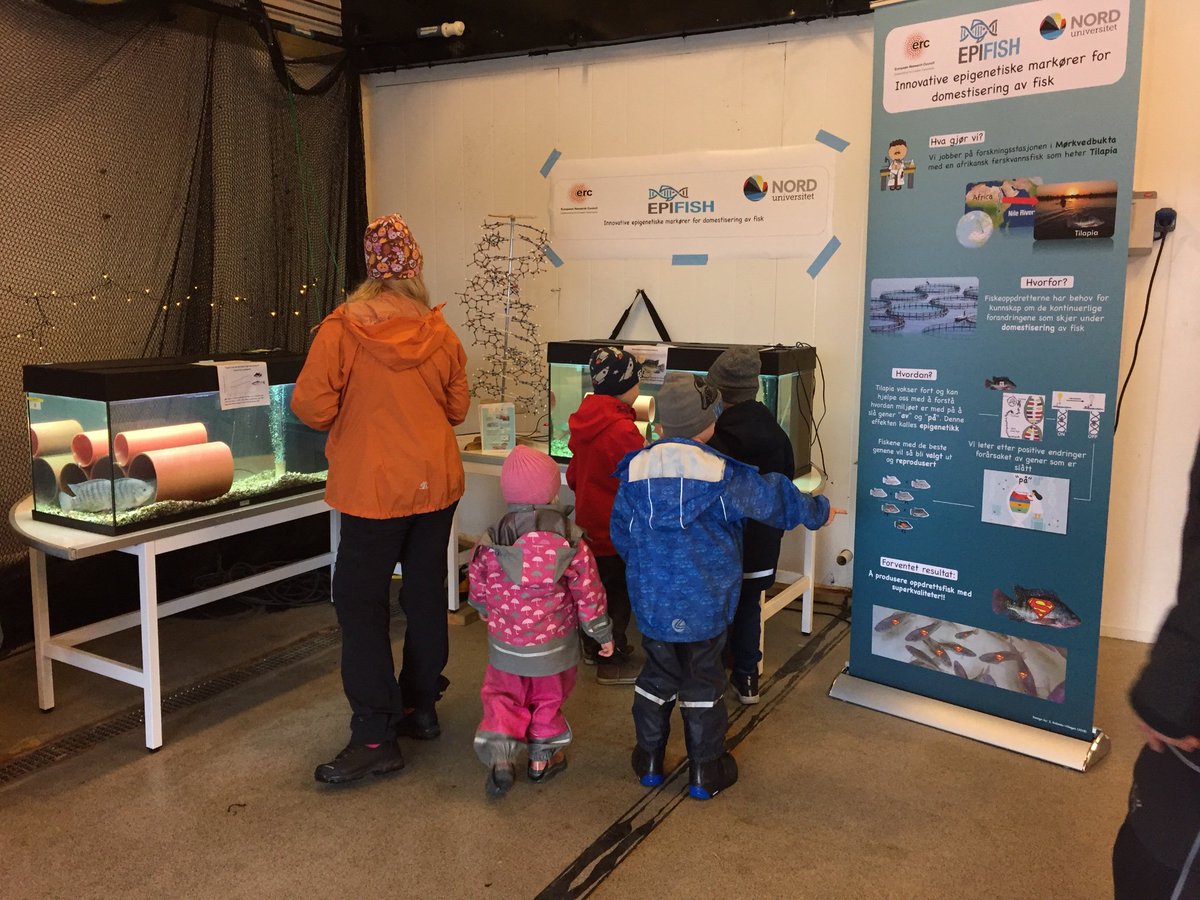 Fernandes Lab tweet media