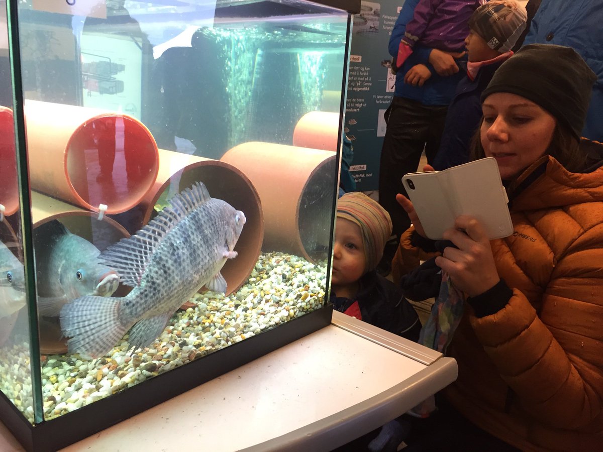 Fernandes Lab tweet media