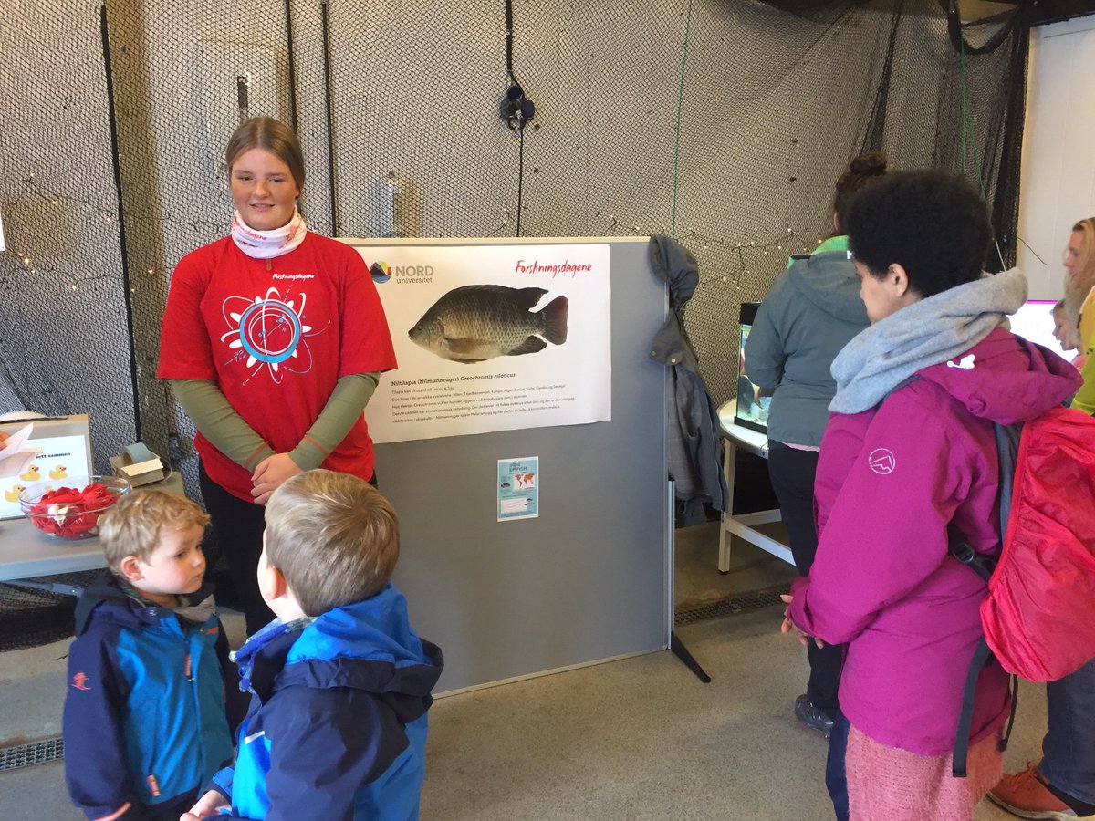 Fernandes Lab tweet media