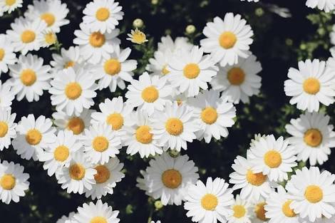 平和と希望 Twitter Search Twitter