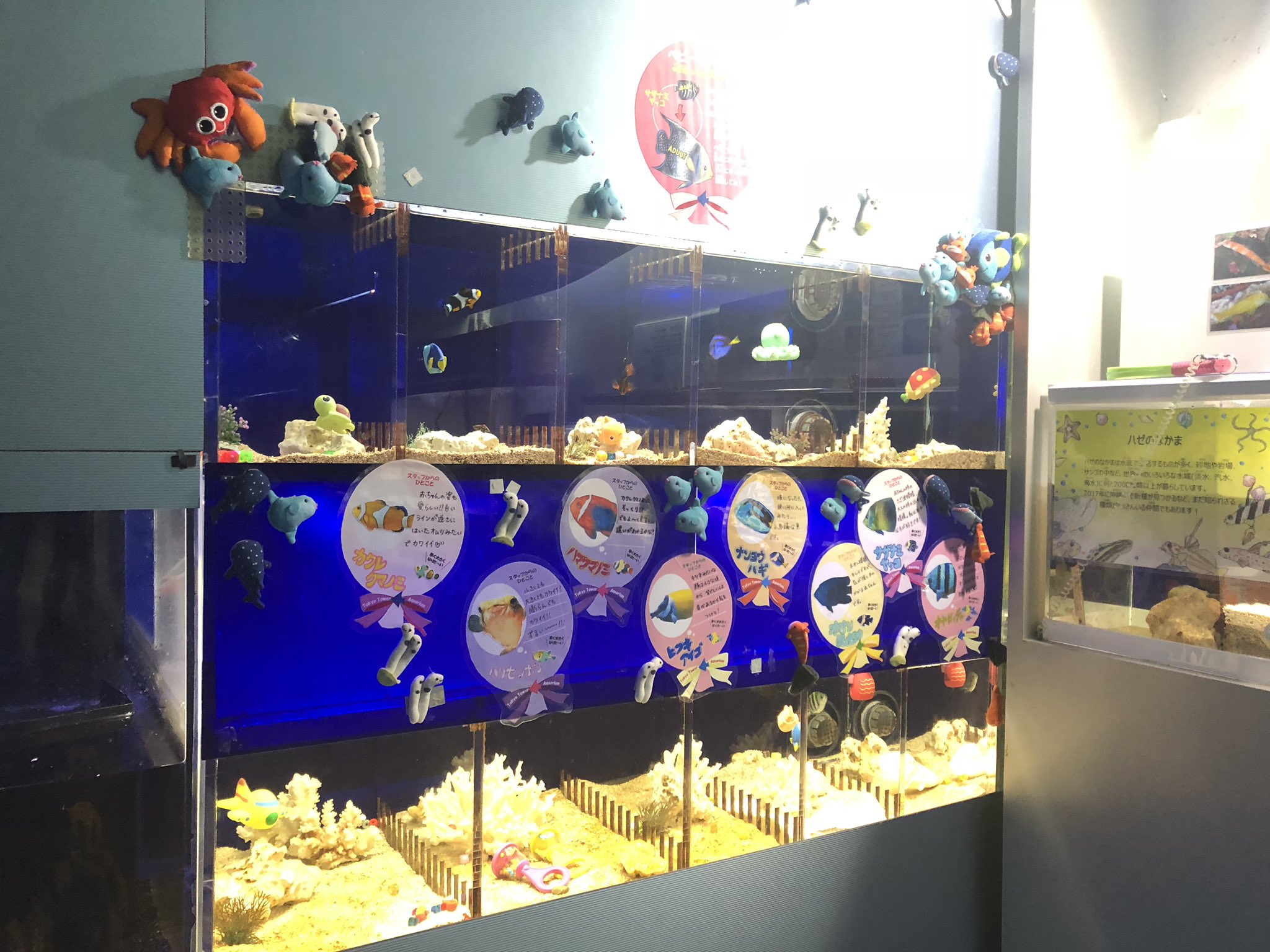 すずき 動くグラフ Twitterissa 約900種類 5万匹の観賞魚を生息地別に展示する東京タワー水族館 いわゆる観賞魚という雰囲気の色鮮やかな小型熱帯魚以外に ナマズなど1メートル近い大型魚の姿も目立っていた 日本庭園風の優雅な展示も すずき 動くグラフ Twitterissa 約900種類 5万匹の観賞魚を生息地別に展示する東京タワー水族館 いわゆる観賞魚という雰囲気の色鮮やかな小型熱帯魚以外に ナマズなど1メートル近い大型魚の姿も目立っていた 日本庭園風の優雅な展示も