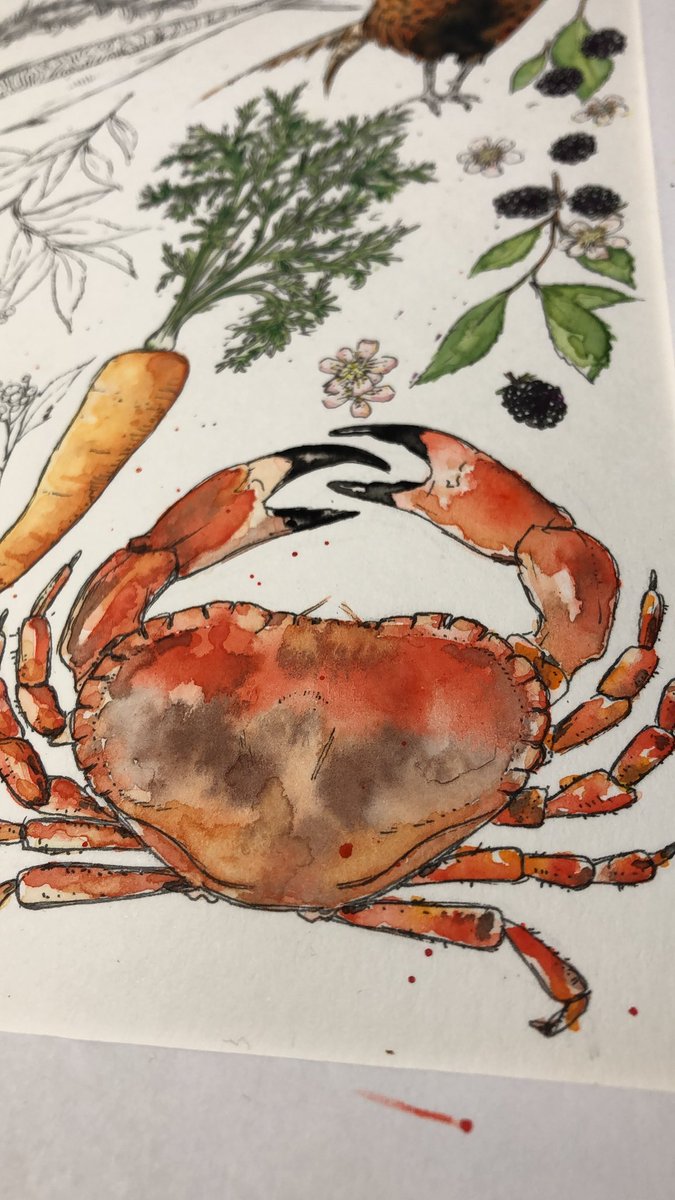 BeeIllustrated's tweet photo. Kitchen piece #watercolour #painting #illustrator https://t.co/m6zpCaZ22t
