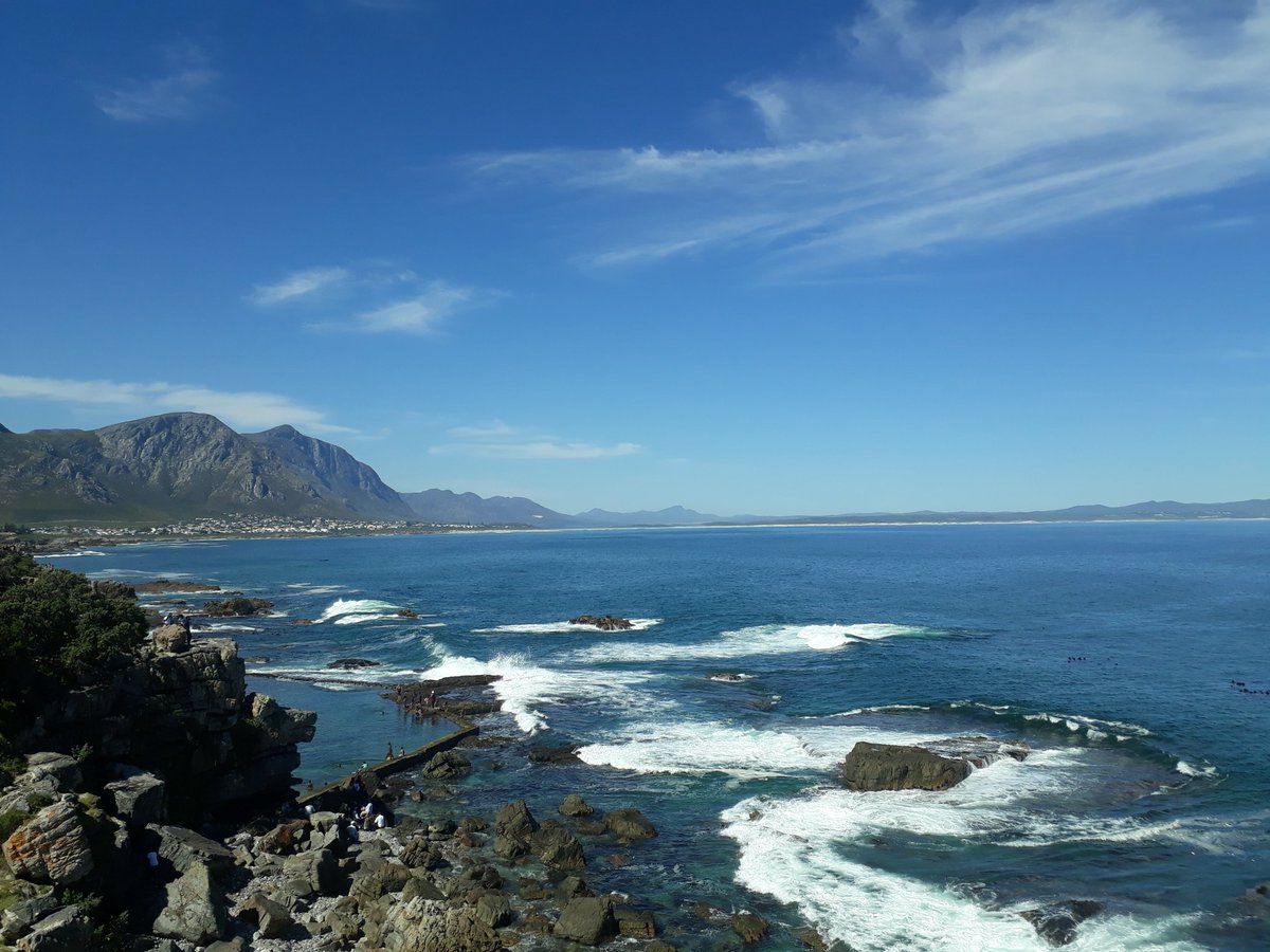 SobAlert's tweet photo. Much fun and laughter at the @capewhalecoast and the #HCWF.
A slice of heaven is watching whales and enjoying the spicotta salad @ColCacchio in #Hermanus 
#bioimmunity 
#healthylifestyle https://t.co/qXKvufPqFO