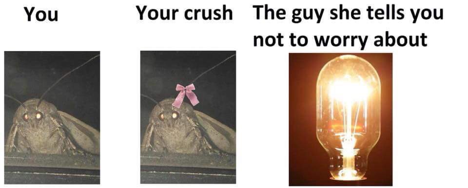 BSR5Official's tweet photo. Thank you for helping me reach 100 followers! Here have some moth pictures
#mothmemes #BackInTheMoth
#KeepingPeopleSafe #memes #100followers #mightyMoth #LampLovers #lamp https://t.co/t7Pqz6Ih0N