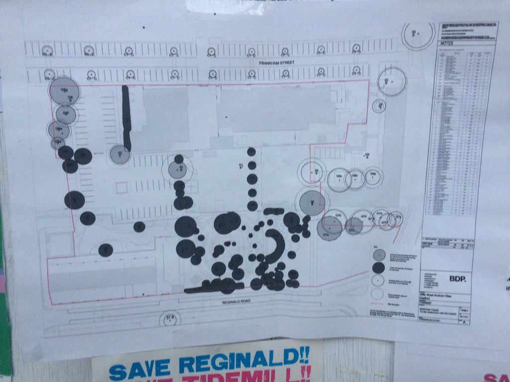 oldtidemillgrdn's tweet photo. #LewishamCouncil say they are only demolishing 36 trees at #Tidemill, but it’s more than 70! Come and see all the trees they want to demolish today in the garden @Deptfordx 1-6pm! https://t.co/q8NxDg6euP