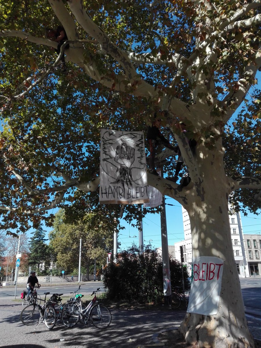 EndeGelaendeDD's tweet photo. Solidarische Grüße aus Dresden! Kletteraktion am Alberplatz, kommt vorbei! #HambiBleibt #HambacherForst #DD #climatejustice https://t.co/gXiSQIRIXF