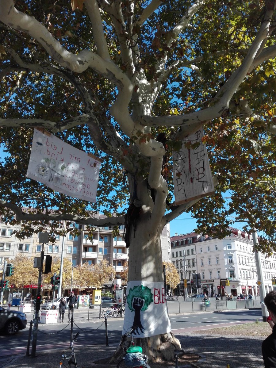 EndeGelaendeDD's tweet photo. Solidarische Grüße aus Dresden! Kletteraktion am Alberplatz, kommt vorbei! #HambiBleibt #HambacherForst #DD #climatejustice https://t.co/gXiSQIRIXF